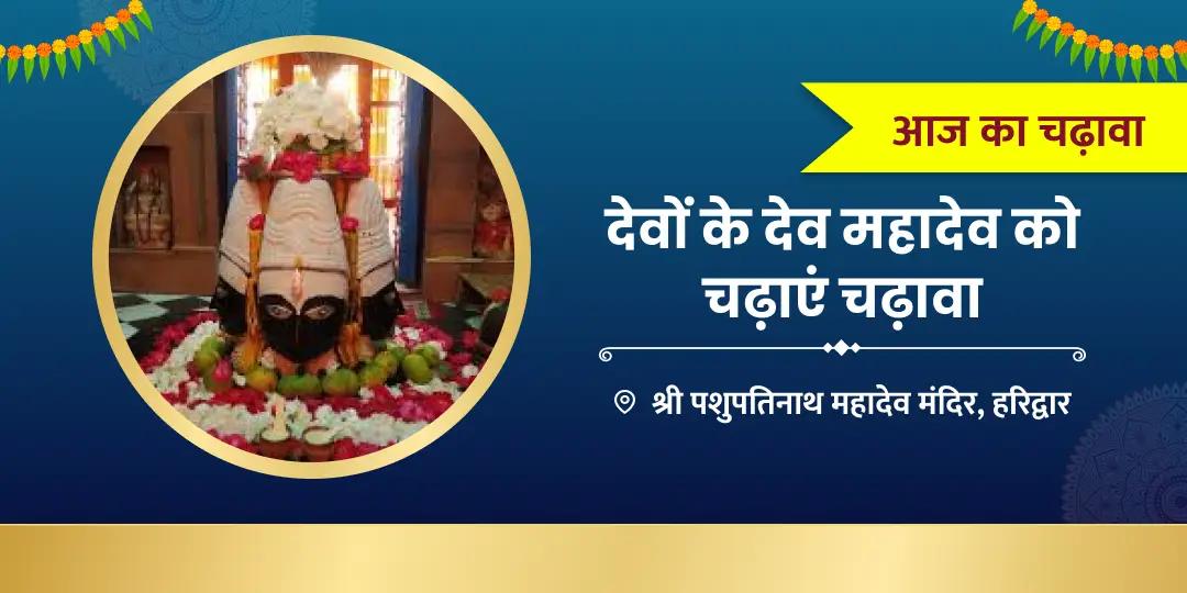 श्री पशुपतिनाथ मंदिर-clone अन्नवरम अलिपिरि business success