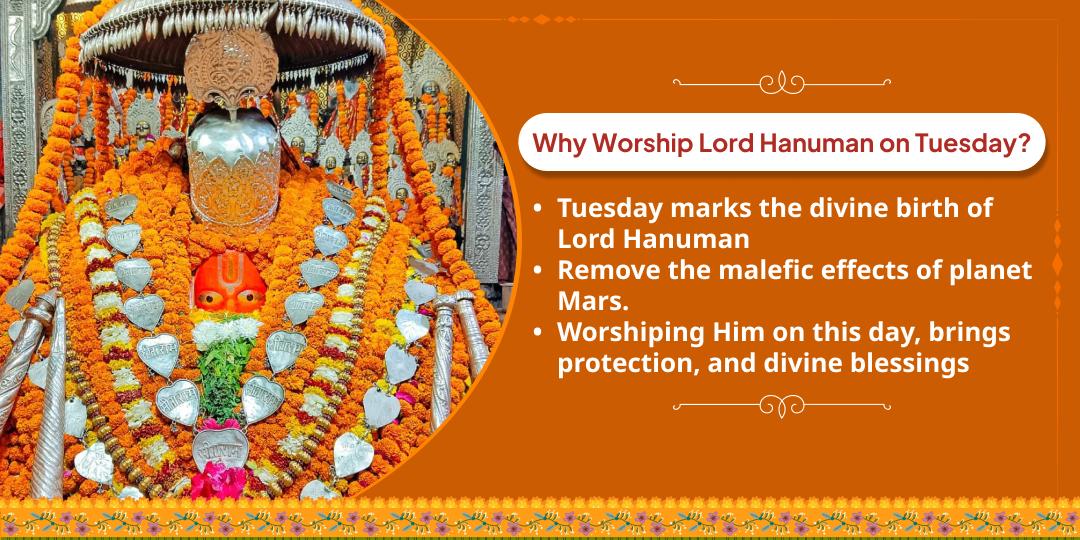 Tuesday Hanuman Garhi Ayodhya Chadhava