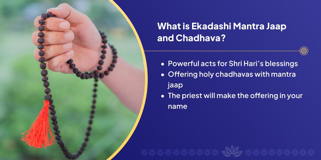 Ekadashi Sri Hari Vishnu Mantra Jaap Chadhava