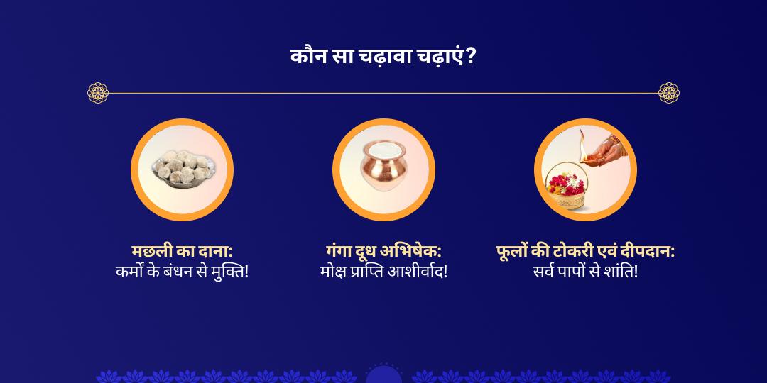 एकादशी माँ गंगा घाट हरिद्वार चढ़ावा