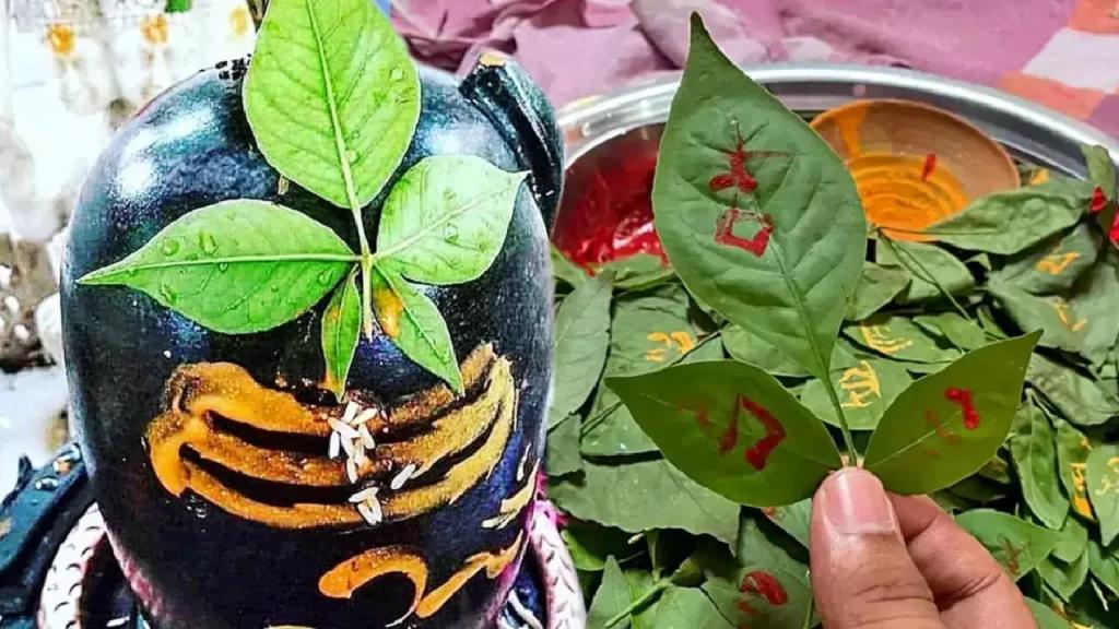 Divine Offerings to Baba Chandaneswar Shiva 🙏 – Granting Desires & Serenity