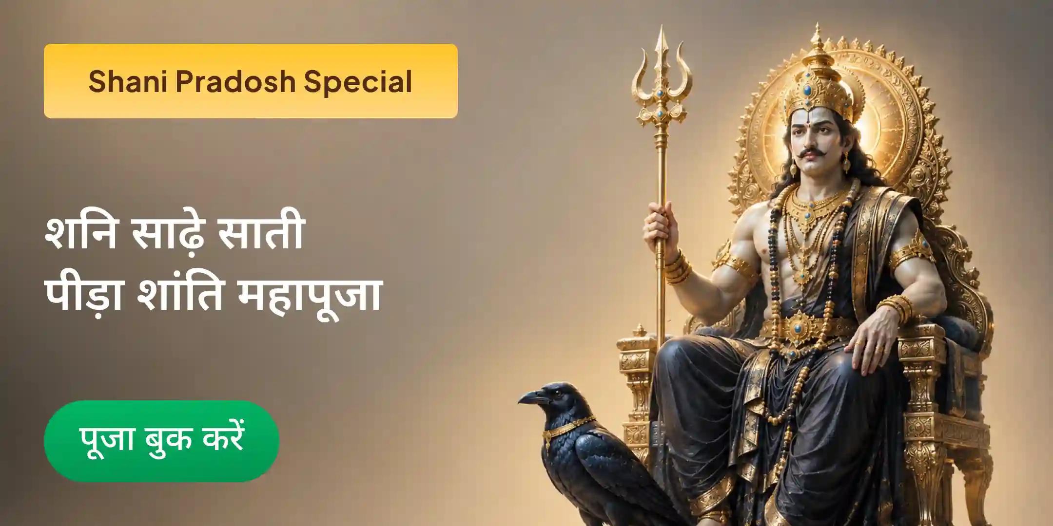 Shani Saade Saati Peeda Shanti Mahapuja, Shani Til Tel Abhishek and Mahadasha Shanti Mahapuja
